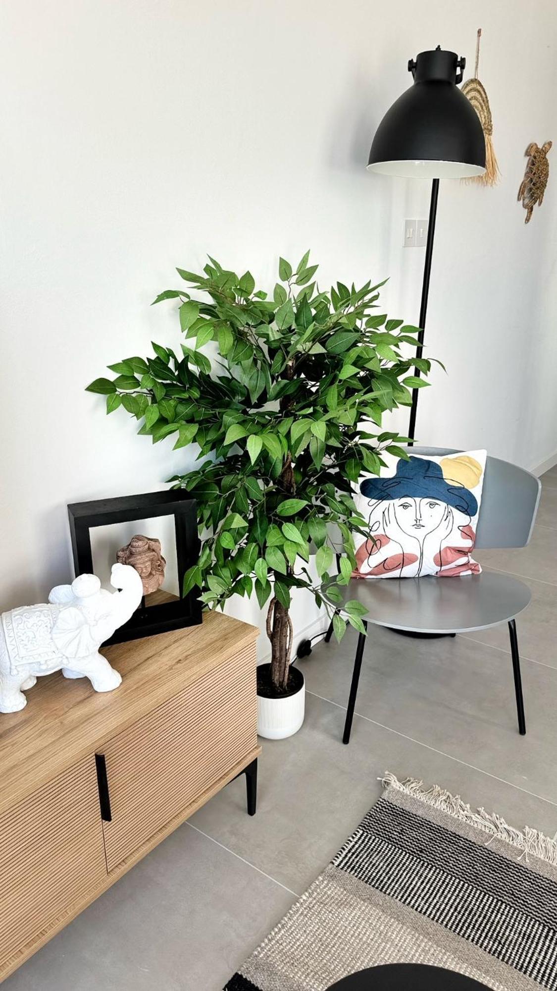 Peyia Paradise Apt Εξωτερικό φωτογραφία